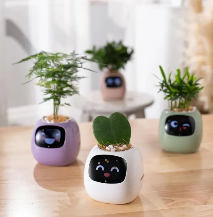 Qwertfeet Ivy – Vaso intelligente USB per interni, pratico e decorativo, per una coltivazione facile e divertente” Qwertfeet Ivy – Vaso intelligente USB per interni, pratico e decorativo, per una coltivazione facile e divertente”