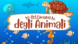 La Settimana degli Animali su Amazon: Scopri tutto per i tuoi amici a 4 zampe (e non solo!)