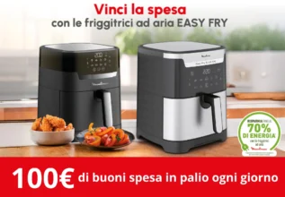 Concorso Moulinex: Vinci la Spesa con la Friggitrice ad Aria!